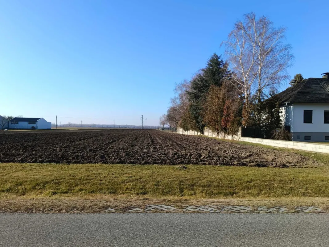 2422 Pama  -  Freunde aufgepasst - zwei nebeneinander liegende Baugrundstücke - Bild 1