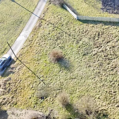 Günstiges Grundstück mit genehmigter Doppelhaushälfte in Buchkirchen! - Bild 3