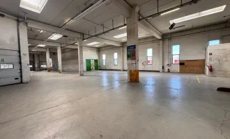 Preiswerte Lagerfläche in St.Pölten