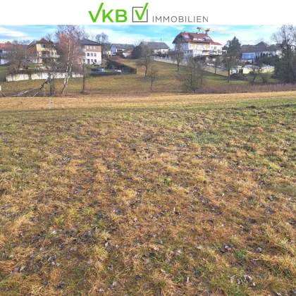 Aistersheim: Bau- und Landwirtschaftsgrund 5104m², herrliche Zentrumslage! - Bild 2