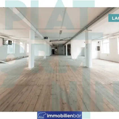 PLATFORM 9 - Business Rohdiamanten - BÜRO & LAGER neben Hauptbahnhof Wels - Bild 2