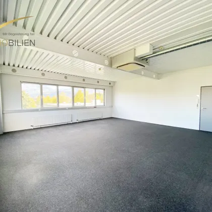Lichtdurchflutete - Klimatisierte Bürofläche - Bild 2