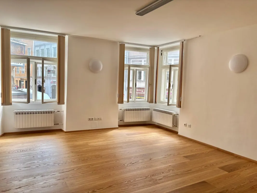 PLATZL: Repräsentative 3-Raum-Altbau-Bürofläche (ca.88m²) im Münchnerhof für Kanzlei/Büro/Ordination etc. - Bild 1