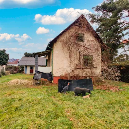 Großes Potential zentral in Gratwein. - Bis zu ca. 300 m² Nutzfläche möglich. - Chance für As-Sanierung. - Bild 2