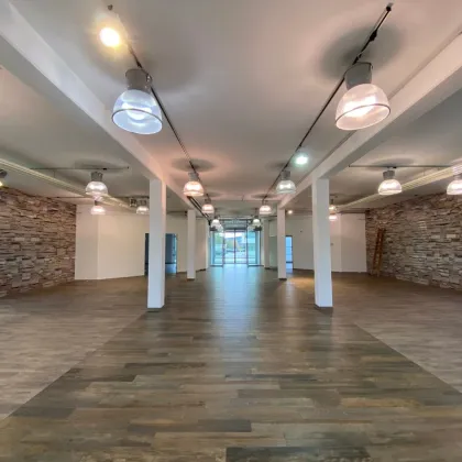 HIGHLY FREQUENTED | Verkaufsfläche | ELIXHAUSEN - Bild 3