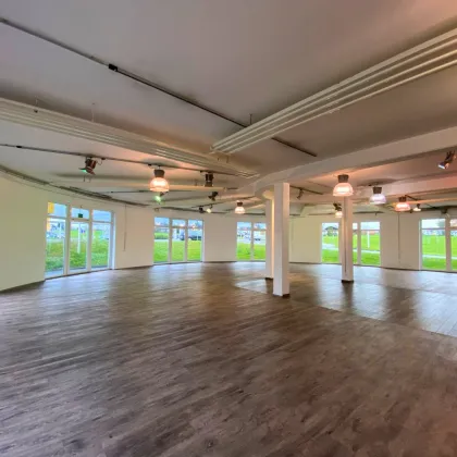 HIGHLY FREQUENTED | Verkaufsfläche | ELIXHAUSEN - Bild 2