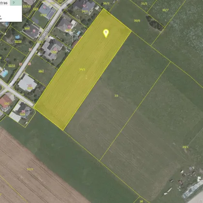 Attraktives Bauträger-Grundstück: 7.425 m² in begehrter Lage in Apfelberg! - Bild 3