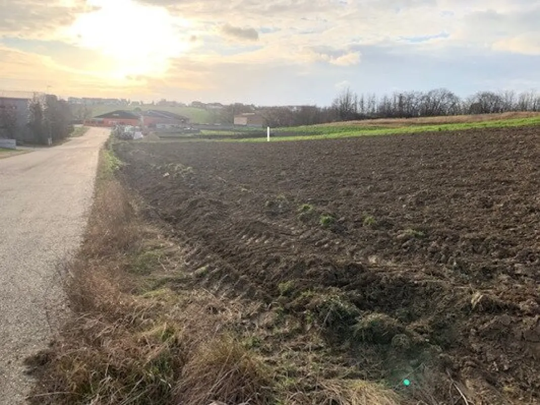 4.333m² Betriebsgrundstück in Top – Lage an der A5 - 2191 Gaweinstal - Bild 1