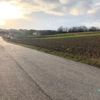 4.333m² Betriebsgrundstück in Top – Lage an der A5 - 2191 Gaweinstal - Bild 3