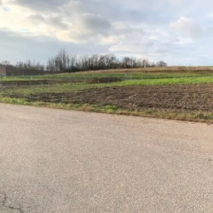4.333m² Betriebsgrundstück in Top – Lage an der A5 - 2191 Gaweinstal - Bild 2