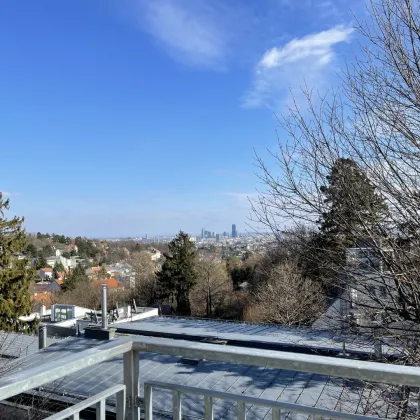 PENTHOUSE LIVING - ATEMBERAUBENDER WIENBLICK - DREI RIESEN TERRASSEN - ERSTBEZUG! - Bild 2