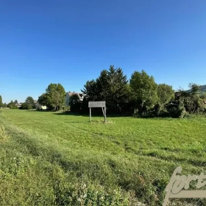 Grundstück für Bauträger in Königstetten - Bild 2
