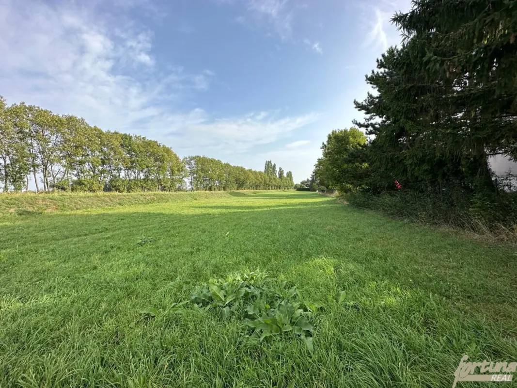 Grundstück für Bauträger in Königstetten - Bild 1