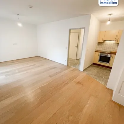 Schönes 3-Raum-Büro mit Terrasse und Garten Nähe Linzer Straße (befristet vermietet) - Bild 2