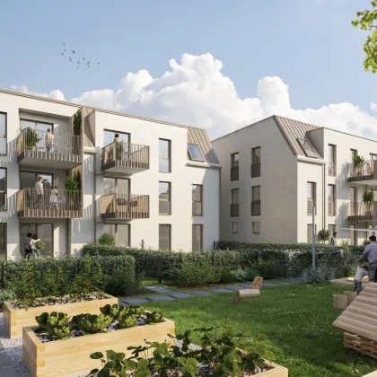 6% Preisrabatt! LAVITA - Leben mitten in Langenzersdorf (Eigengrund!) - Bild 3