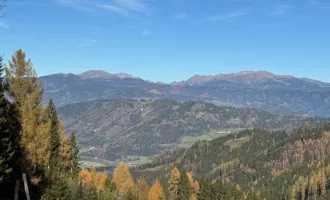 57 ha Wald mit hohem Altholzbestand