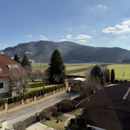 Pitten/Sautern tolles 2 Familienhaus oder Arbeiten und Wohnen-1243 - Bild 3