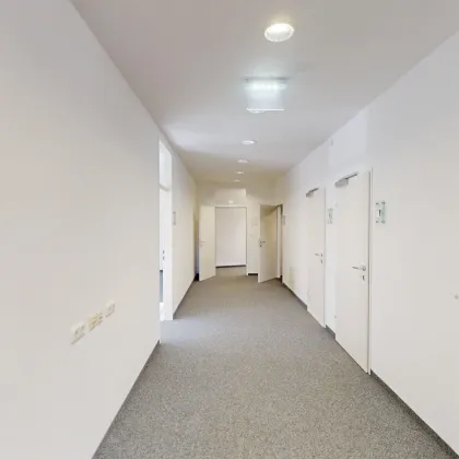 Ihr neuer Unternehmensstandort: Moderne Gewerbefläche in erstklassiger Lage von Graz-Straßgang! Ca. 230 m² Nutzfläche mit hellen, einladenden Räumlichkeiten warten auf Sie! Gleich anfragen! - Bild 3