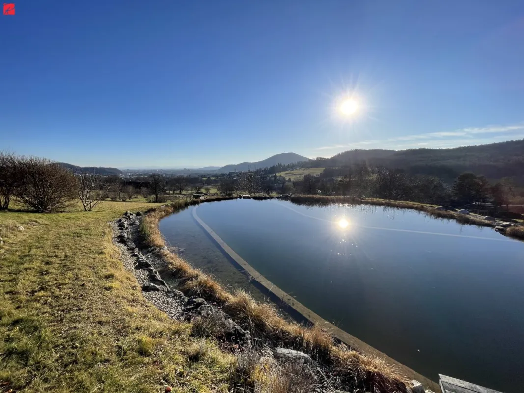 ANLAGE: Stilvolle Luxusvilla mit Weitblick - Bild 1