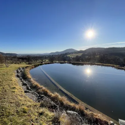 ANLAGE: Stilvolle Luxusvilla in Prestige-Lage - Bild 2