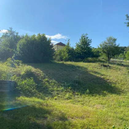 grün-ansprechend-vielseitig, die  Natur genießen Mietkauf möglich! - Bild 3
