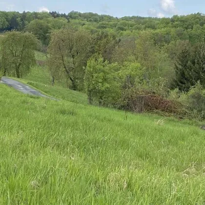Sonniges Baugrundstück in sanfter Hanglage in wunderschöner Weinregion! - Bild 2
