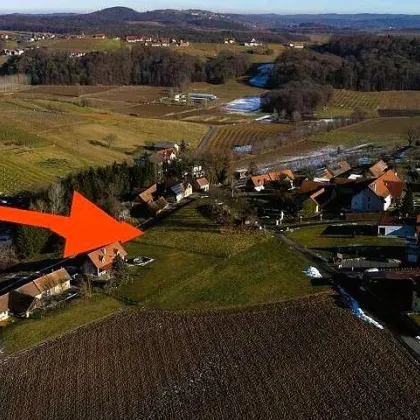 Sonniges Baugrundstück in sanfter Hanglage in wunderschöner Weinregion! - Bild 3