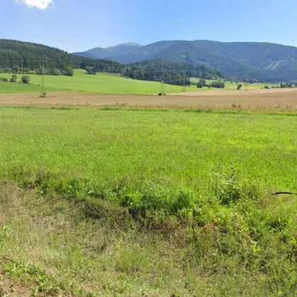 ** Baugrund in Weißkirchen - 1.959 m² in Top Lage ++ - Bild 2