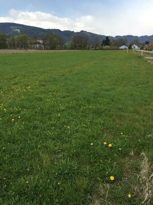** Baugrund in Weißkirchen - 1.959 m² in Top Lage ++ - Bild 1