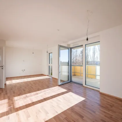südwestlich ausgerichtete Eckwohnung mit Balkon: 3 Zimmer + 2 KFZ-Stellplätze; ERSTBEZUG in Eisenstadt! - Bild 3