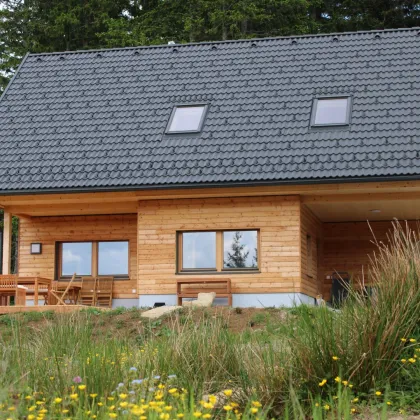 Wunderschönes Ferienhausprojekt in TOP-(AN)-Lage (Modriach) Haus B - Bild 2