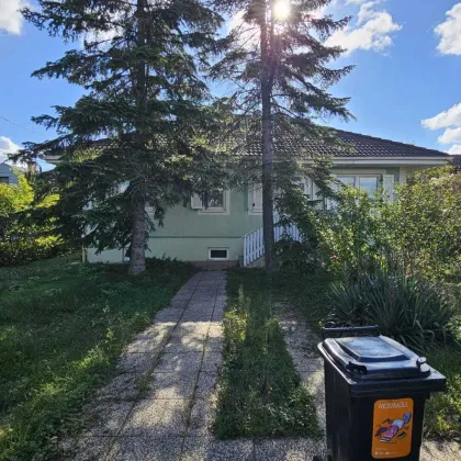 Neuer Preis! Mühlwasser | Großes Baugrundstück mit Potenzial! | ca. 1.586 m² - Bild 3