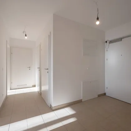 VIDEOTOUR: freundliche, helle 3 Zimmer Erstbezugswohnung + Balkon + Parkplätze! Go2Eisenstadt! - Bild 3