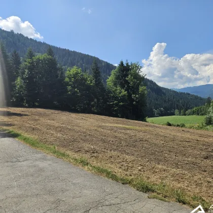 St.Georgen/Kreischberg! - Grundstück mit sanierungsbedürftigen Haus für Investoren! - Bild 3