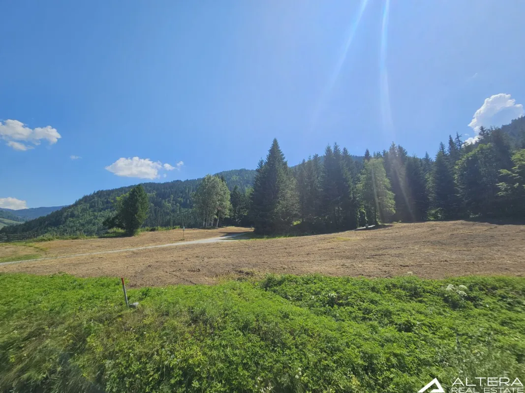 St.Georgen/Kreischberg! - Grundstück mit sanierungsbedürftigen Haus für Investoren! - Bild 1