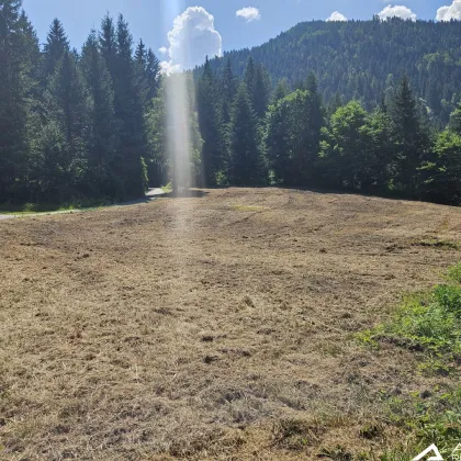 St.Georgen/Kreischberg! - Grundstück mit sanierungsbedürftigen Haus für Investoren! - Bild 2