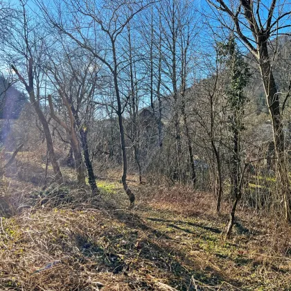 Baugrund in Lehenrotte/Türnitz an der Via Sacra - Nähe Lilienfeld - Bild 2