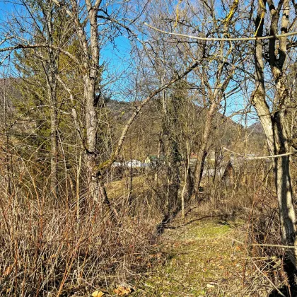 Baugrund in Lehenrotte/Türnitz an der Via Sacra - Nähe Lilienfeld - Bild 3