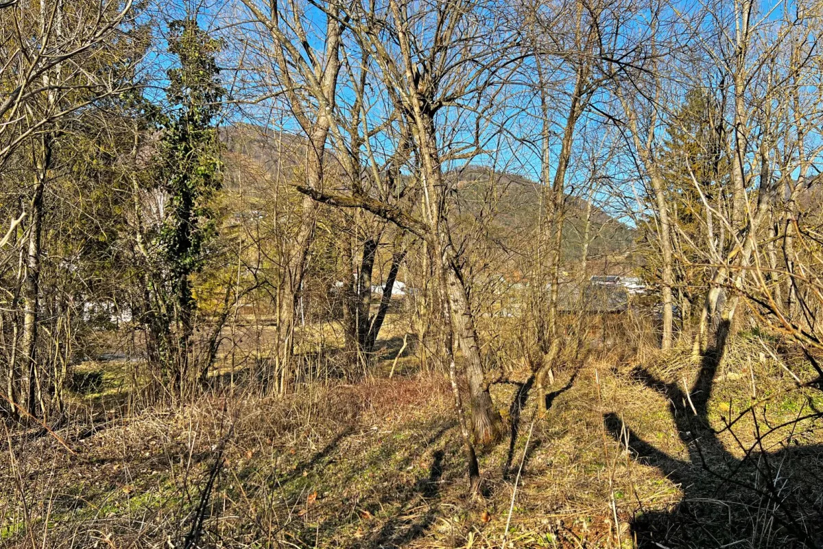 Baugrund in Lehenrotte/Türnitz an der Via Sacra - Nähe Lilienfeld - Bild 1