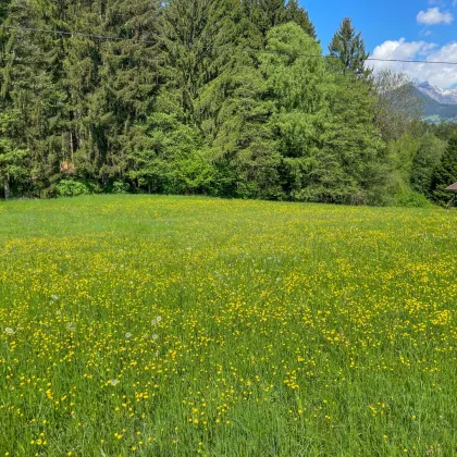 EBENES UND SONNIGES BAUGRUNDSTÜCK AM LURNBICHL - NÄHE MILLSTÄTTER SEE UND SPITTAL AN DER DRAU - Bild 3
