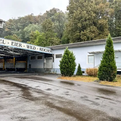Großzügige Gewerbefläche mit Büroflächen zu vermieten! - Südoststeiermark - Bild 3