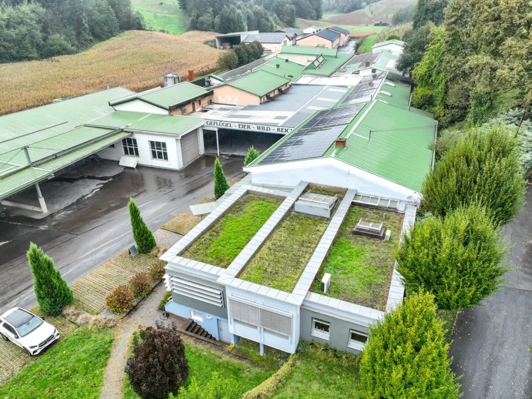 Großzügige Gewerbefläche mit Büroflächen zu vermieten! - Südoststeiermark - Bild 1