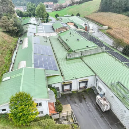 Großzügige Gewerbefläche mit Büroflächen zu vermieten! - Südoststeiermark - Bild 2