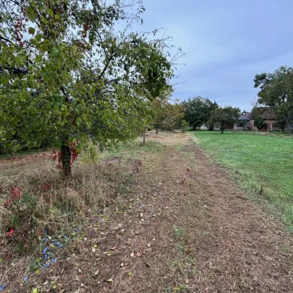 BAUERNHAUS - DAS GEFÜHL MIT DER NATUR LEBEN - Bild 2