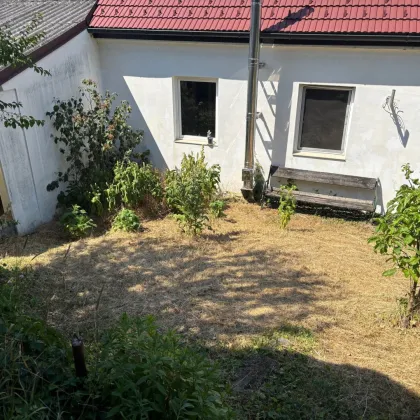 AUF DEM LAND - VIEL SONNE UND GRÜN - Bild 2