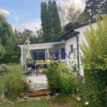 Potenzial für Zubau oder Erweiterung - Bild 3