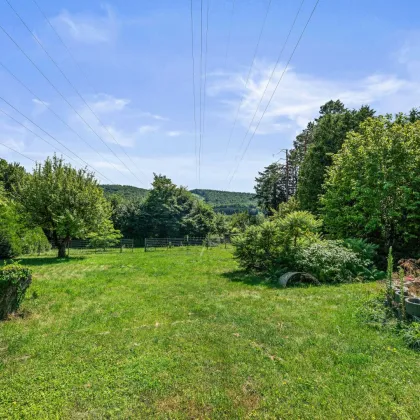 Ein Rückzugsort in der Natur – Wohnen auf 270m² mit 2.800m² Garten in absoluter Ruhelage, nahe Klosterneuburg - Bild 3