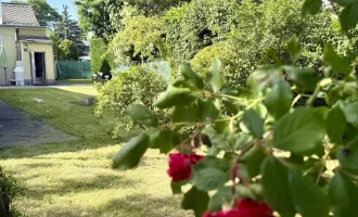 Herrliche Altbauvilla - absolute Grünruhelage - 190 m² Wfl. - 1.100 m² Garten mit Pool