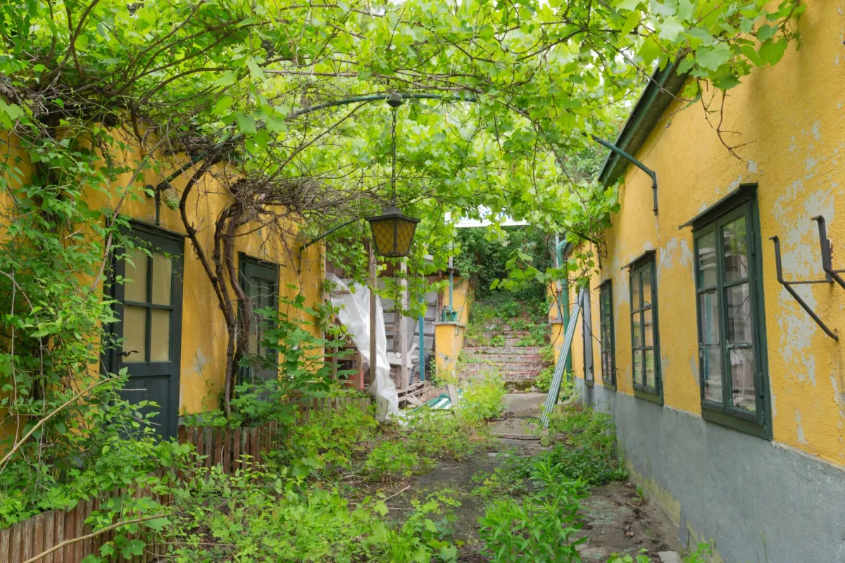 Absolute Rarität im Grinzinger Ortskern - Ehemaliges Winzerhaus - Bild 1