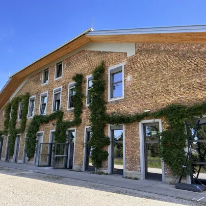 Salzburg/Panzerhalle: Exklusive Loftwohnung - auch gewerblich nutzbar! - Bild 2